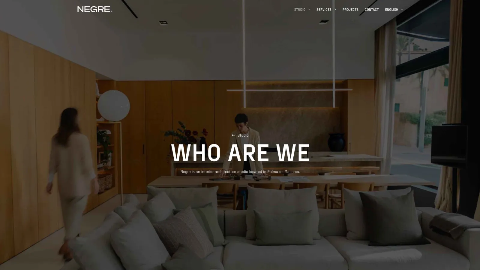 Website design for Nerge, project view